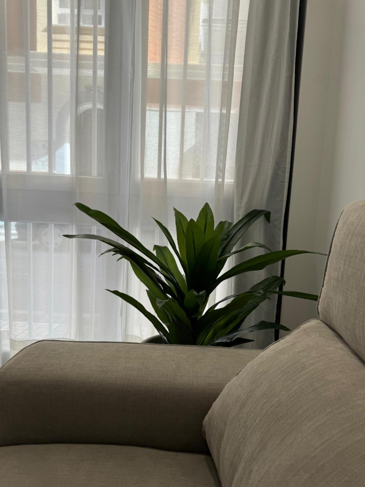 Alderete Suites Málaga Dış mekan fotoğraf